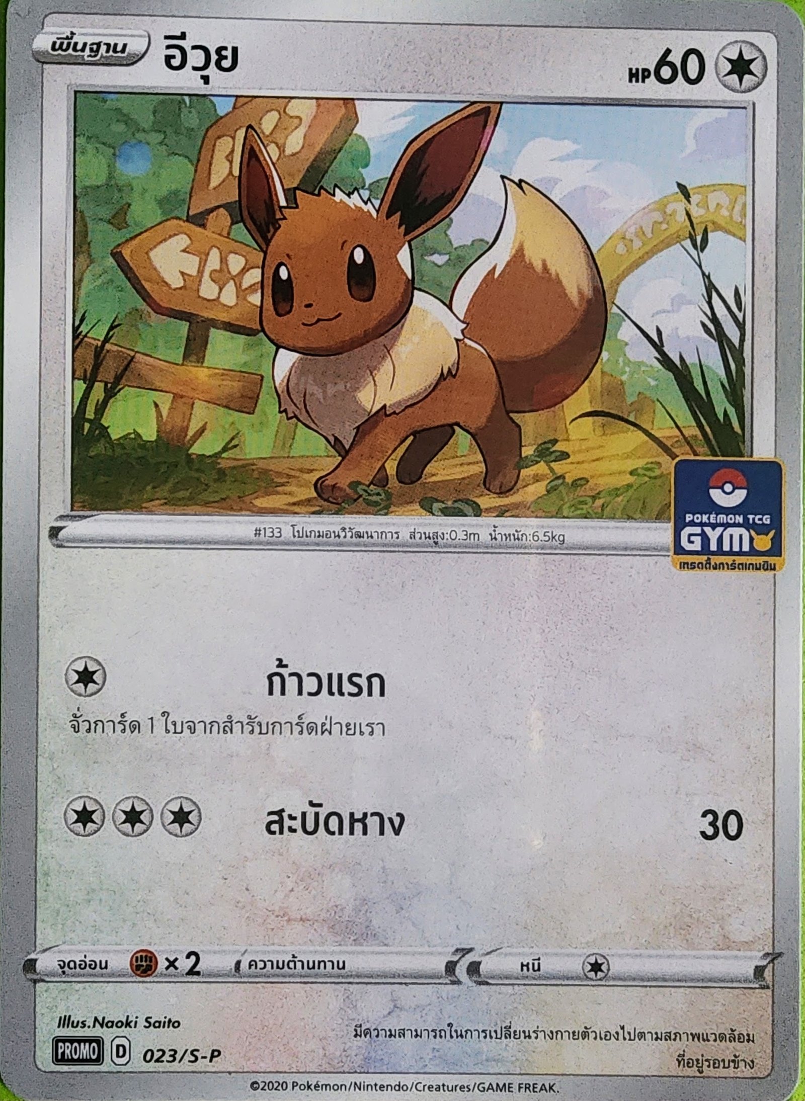 eevee_gym_promo_023_s-p_thai