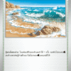 Plage de Surf
