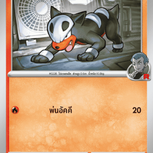 Malosse de la Team Rocket