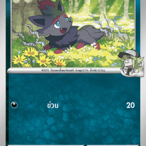 N's Zorua