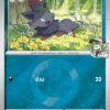 N's Zorua