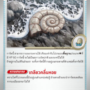 Antique Helix Fossil