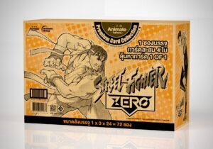 Street Fighter Zero case
