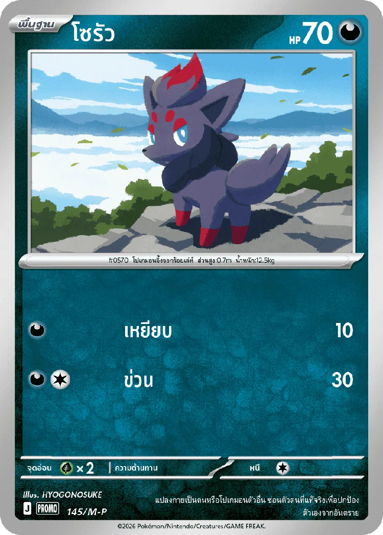 Pokemon Card M-P-145-TH
