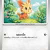 Lillipup