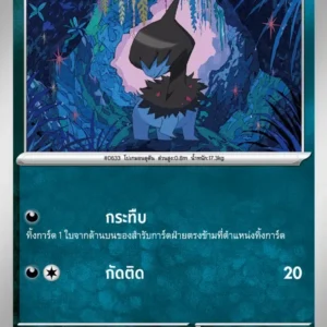 Solochi